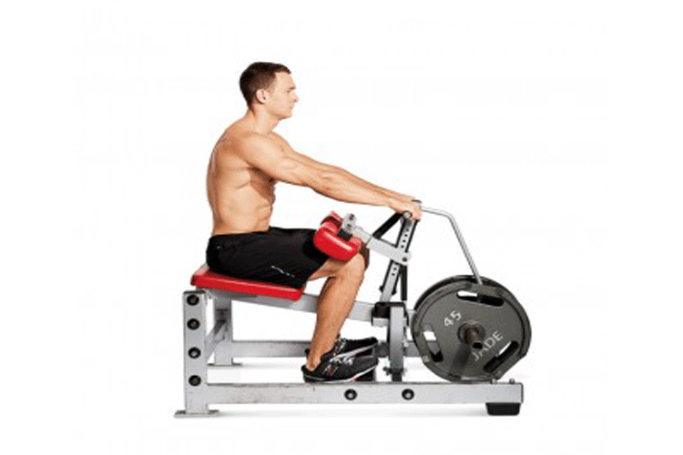 seated calf raise