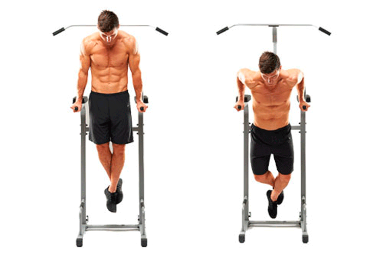 Chest Dips.