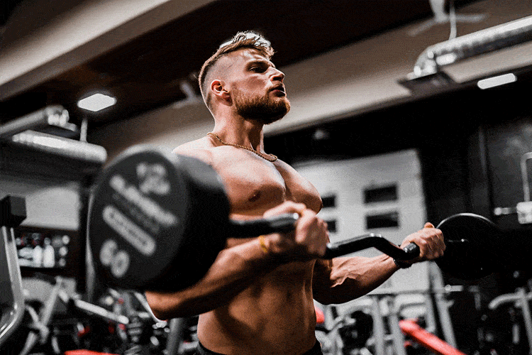 weight training for muscle gain