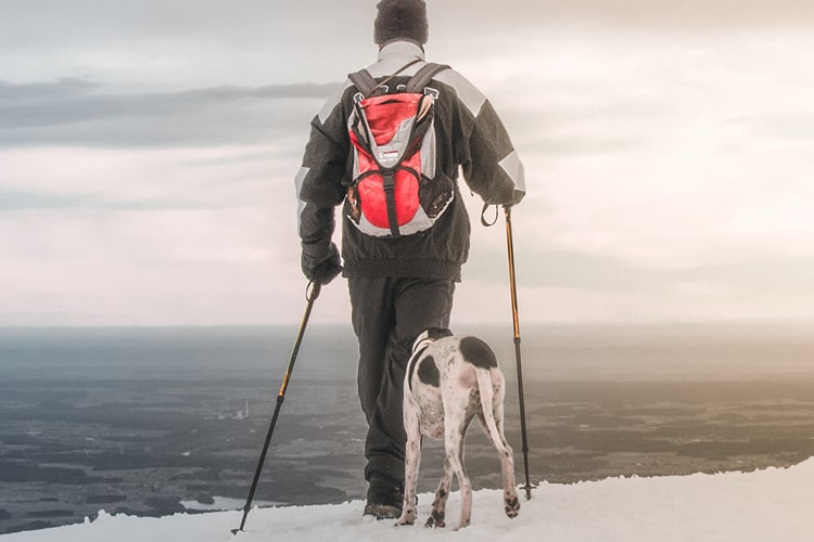 benefits of having a pet for reaching your goals