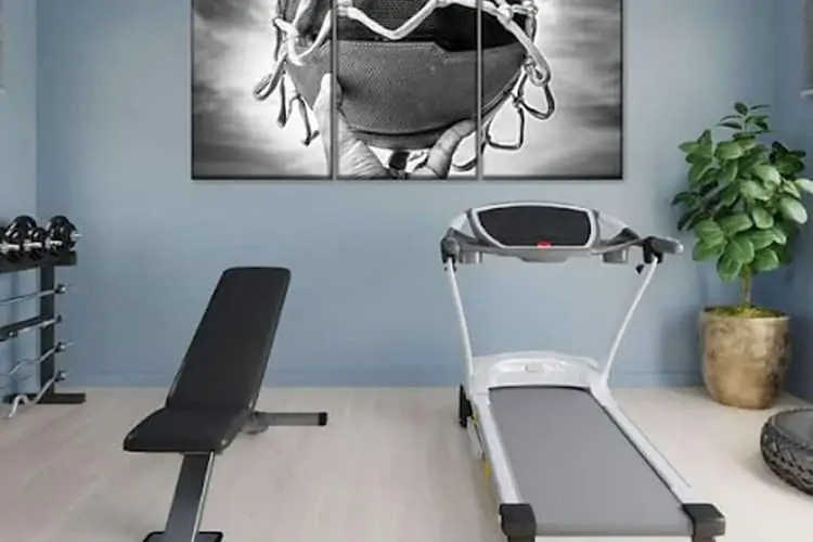 Decorate your home gym Elephant Stock