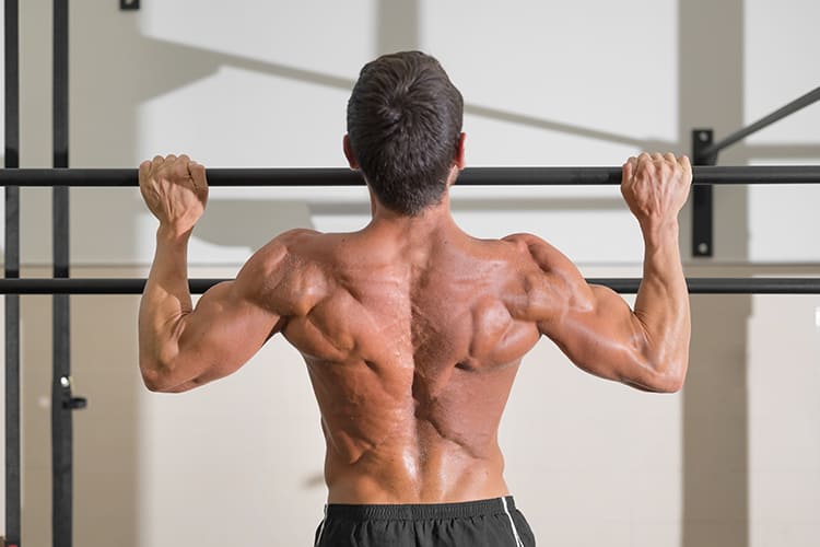 upper body circuit workout