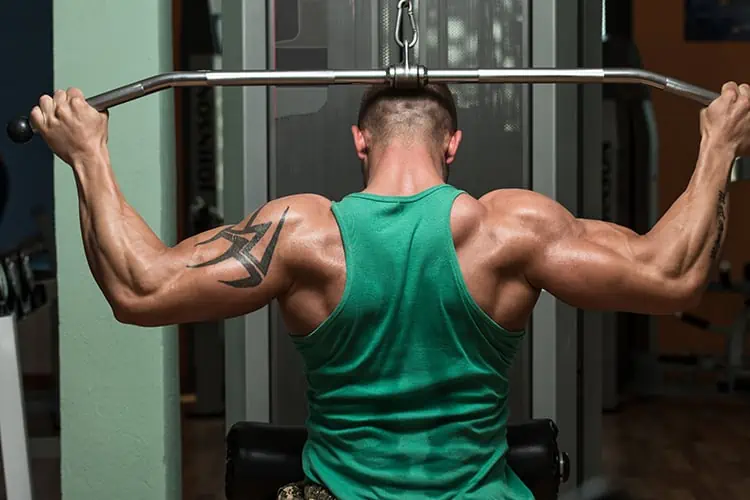 shoulders workouts