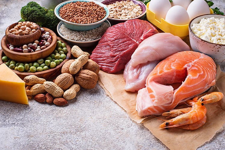 top 10 protein foods