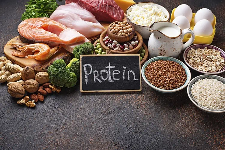 why is protein important