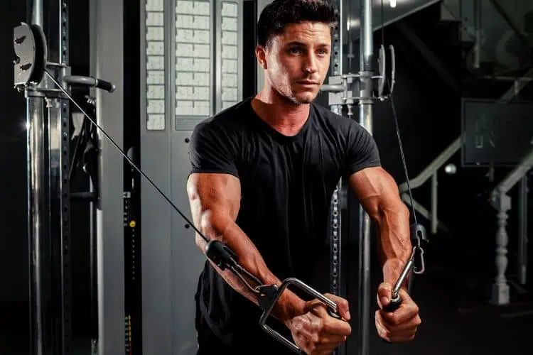5 day workout split
