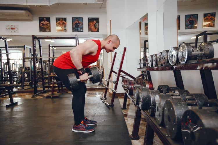 Dumbbell Bent Over Row