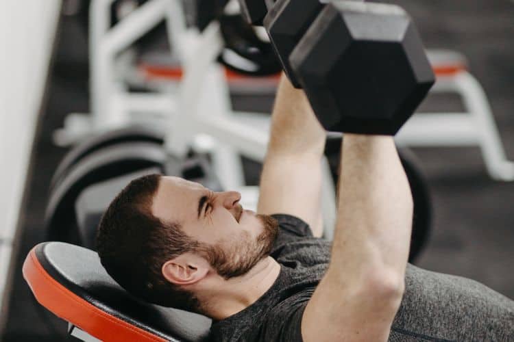 5 day workout split