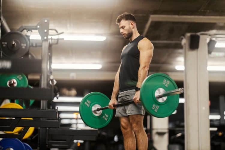 full body weightlifting workouts