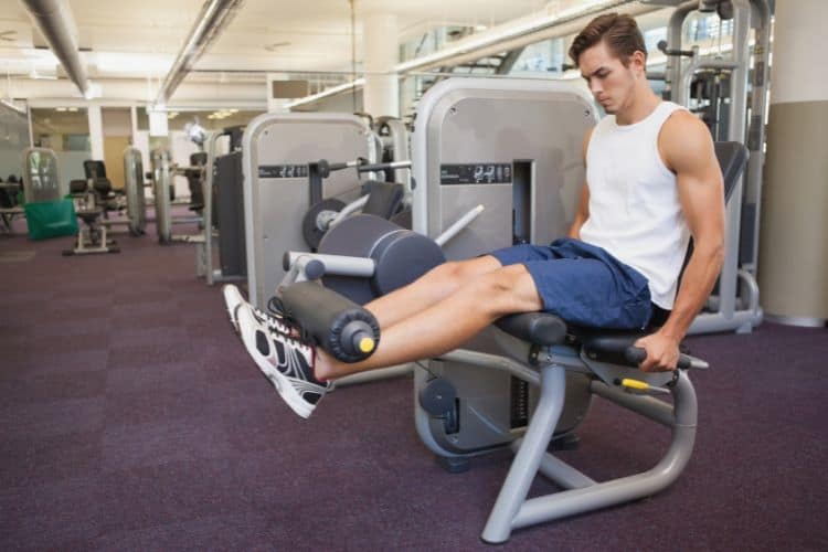 lower body workout split