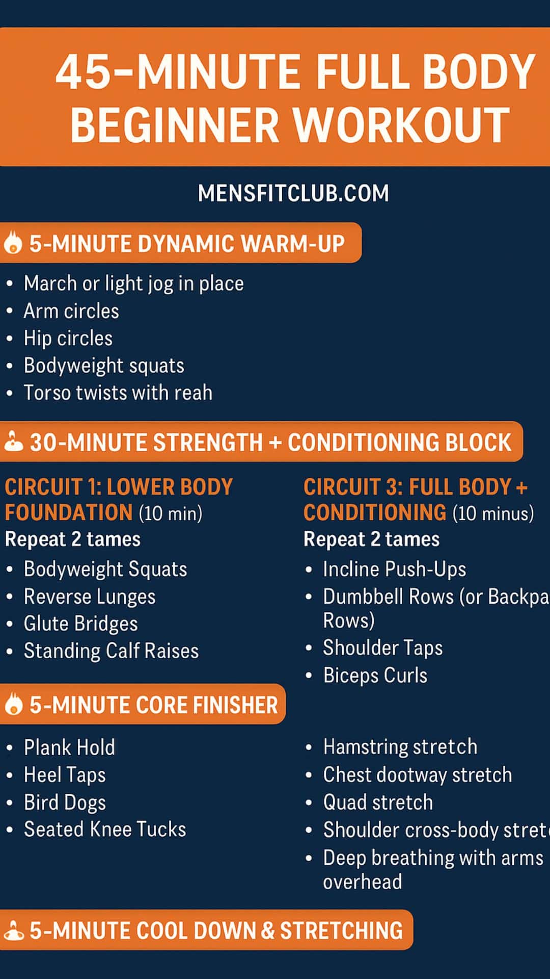 Infographic outlining the complete circuit for a 45-minute full body beginner workout