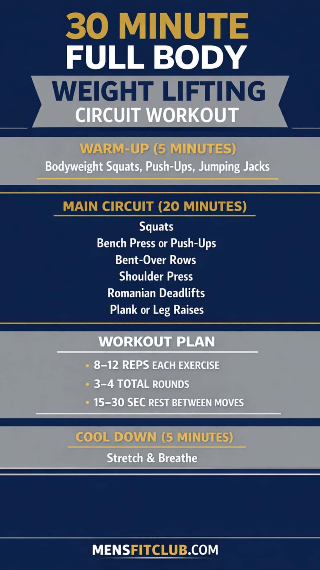 Infographic flowchart of the 30-minute full-body weight lifting circuit with exercises, sets, and rest periods.