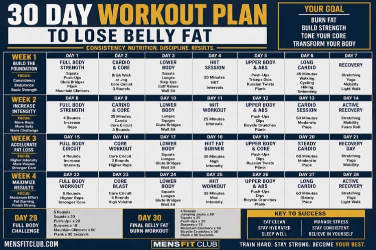 Infographic of 30 day workout plan to lose belly fat.